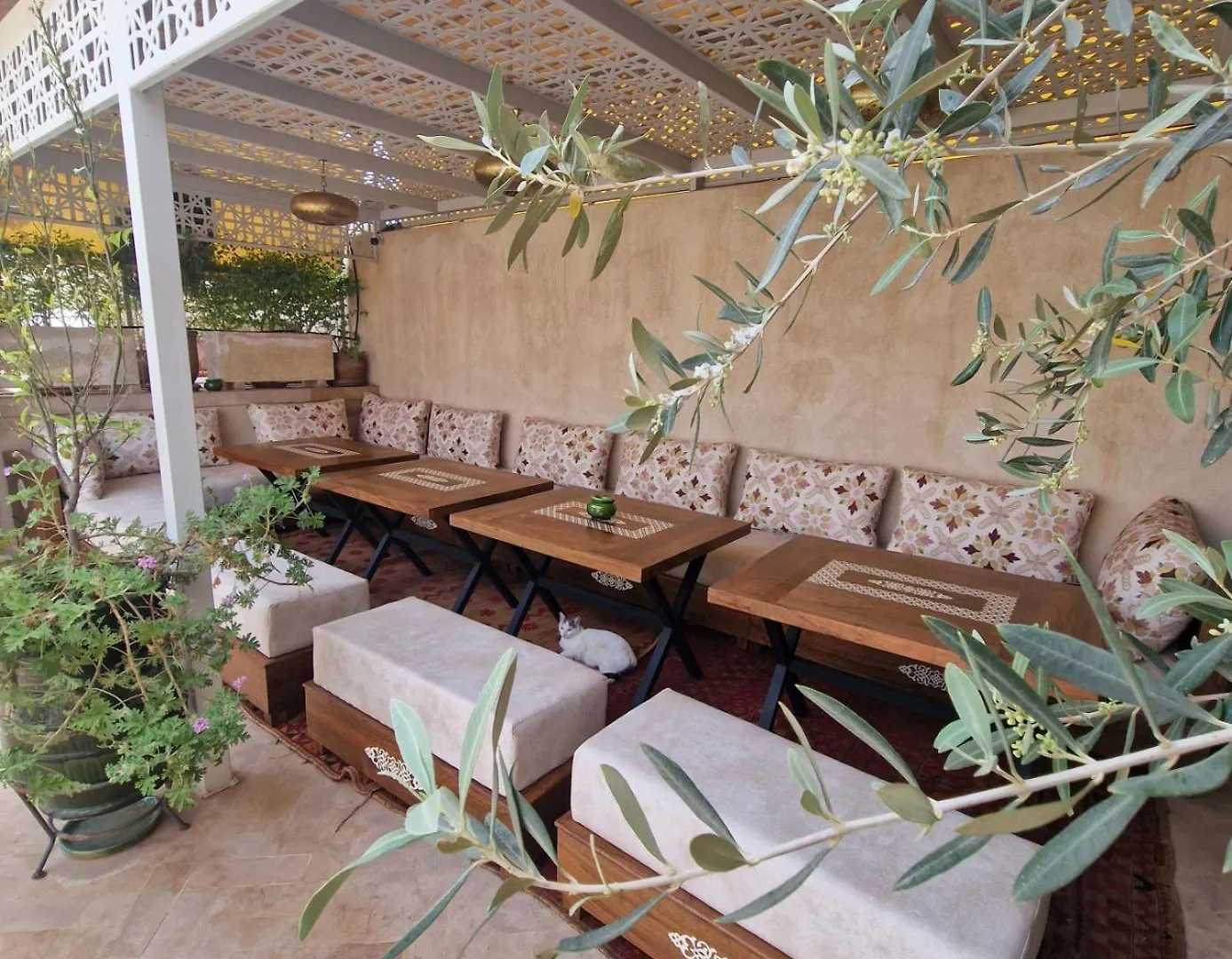 Riad Contessa Marrakesh 0*,  Marokko
